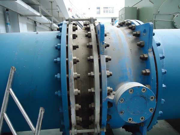 305179.jpg 上海駱盈5.jpg